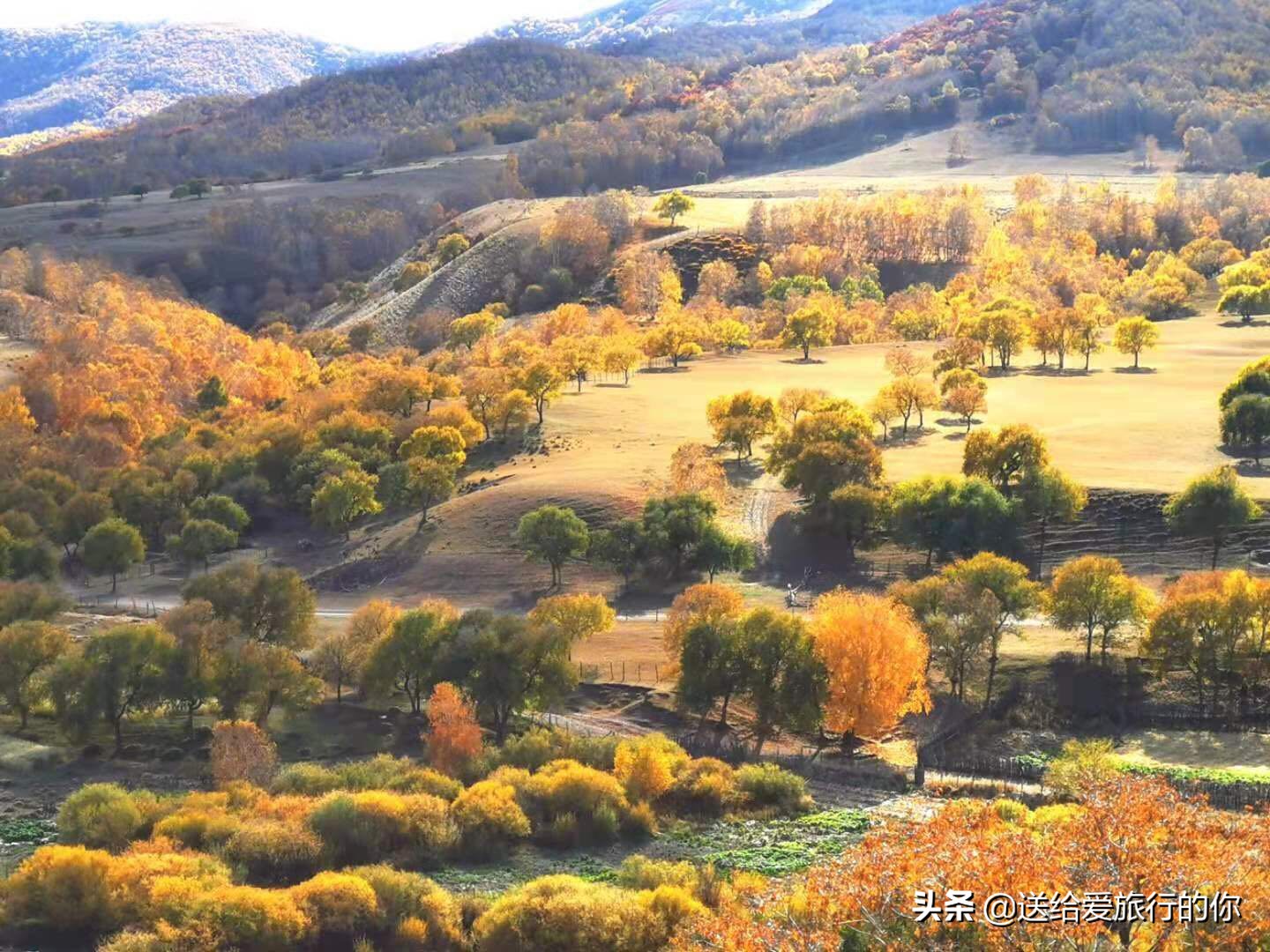 真正有品质的旅行是完全放松,享受独一无二的旅行体验
