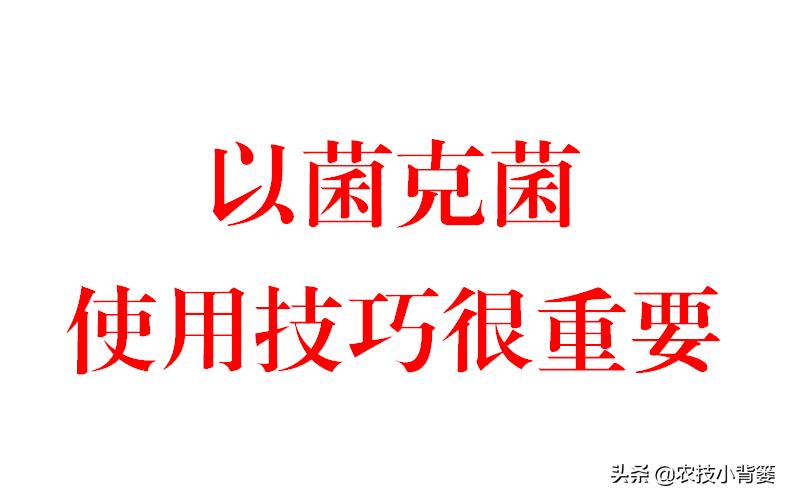 哈茨木霉菌跟枯草芽孢杆菌哪个好,哈茨木霉菌和枯草芽孢杆菌的作用