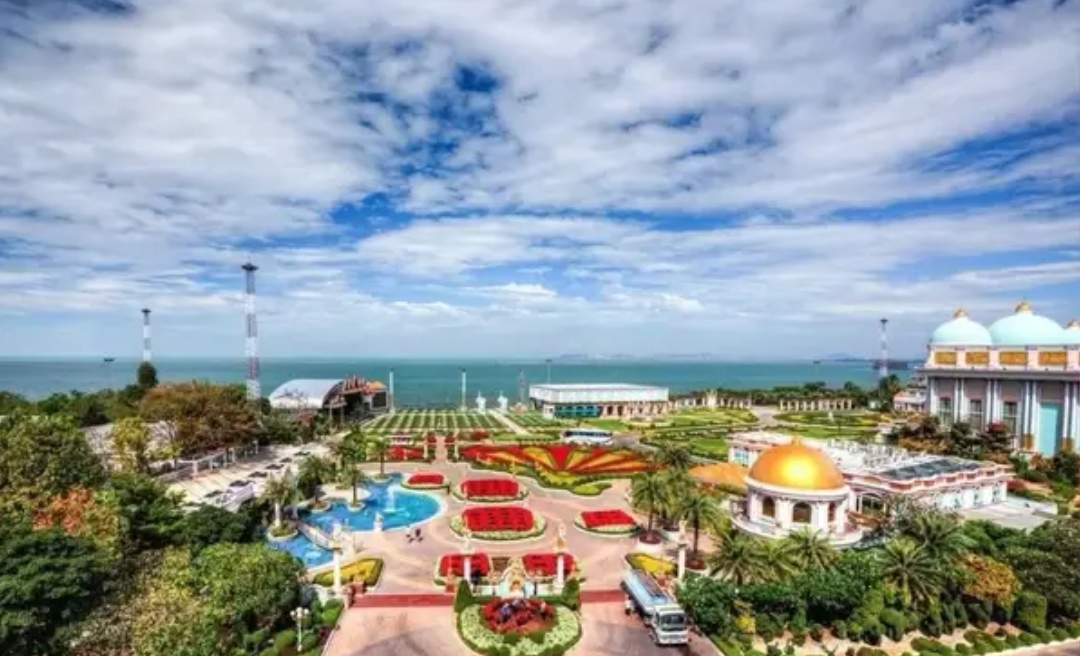 阿莲的聊天,阿莲聊短视频