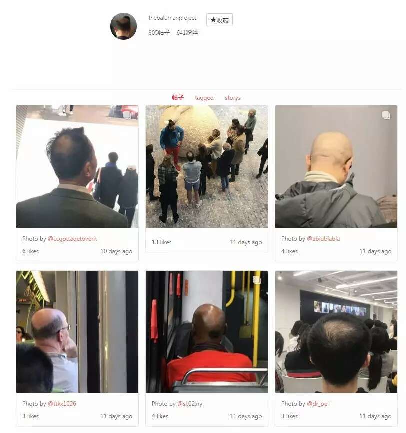 袁泉和陶虹颁奖视频,陶虹袁泉谁火了