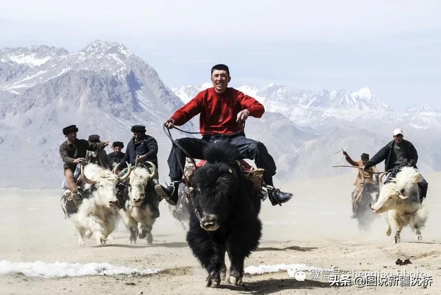 帕米尔高原的春天图片,帕米尔高原的微笑