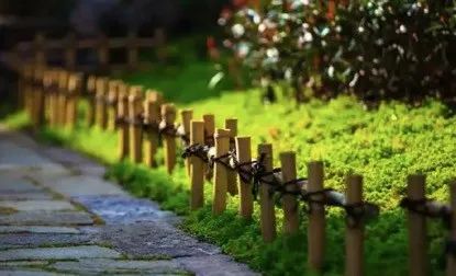 拈花湾吴国平,拈花湾吴国平简介