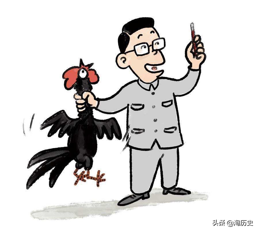 打鸡血有科学依据么,曾经盛行的打鸡血疗法有多神奇