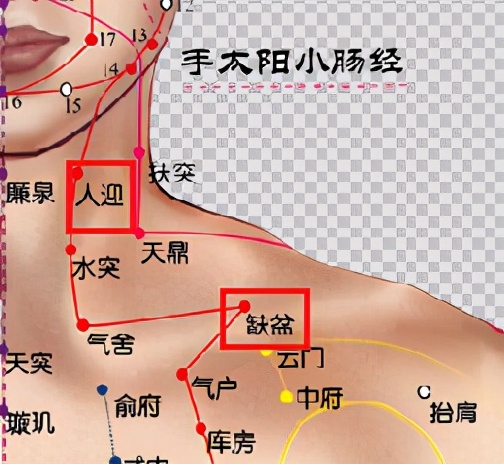 中医讲一看书就犯困怎么回事,中医讲述中午12点犯困怎么回事