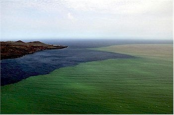 明日方舟伊比利亚剿灭,明日方舟伊比利亚大静谧