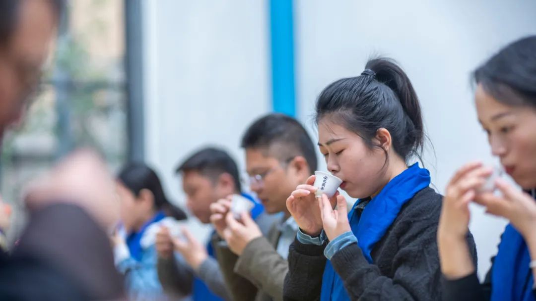 《飞鸟和蝉》词作者耕耕在三饮茶会中遇见金花藏茶
