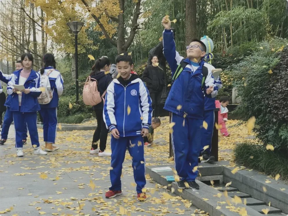 武侯k12,成都k12民办中学