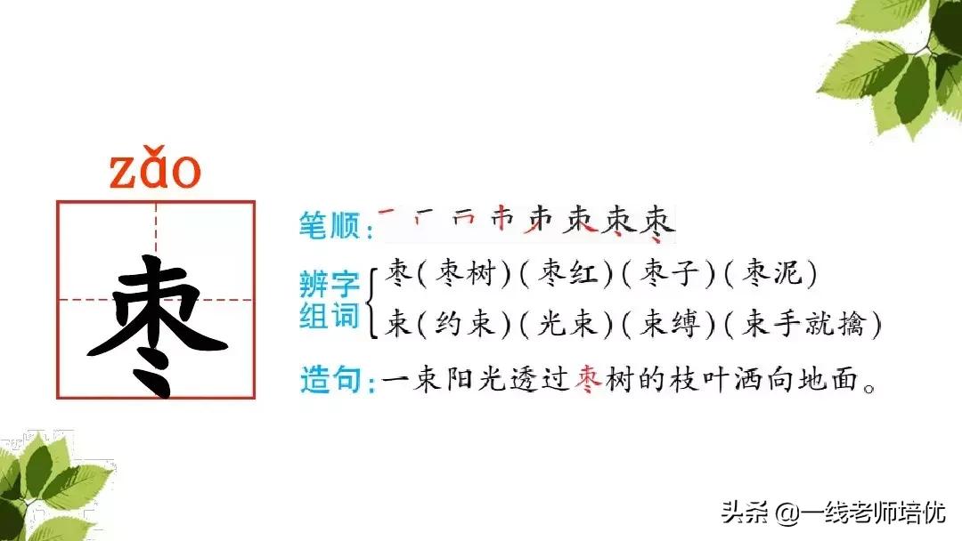 三年级语文带刺的朋友课堂笔记,带刺的朋友三年级上册