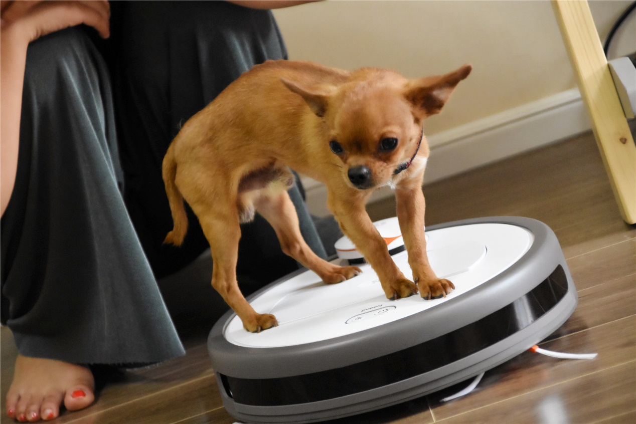 小狗扫地机器人r55,小狗扫地机器人r55pro维修