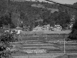 十大悍匪纪实档案万光旭,中国悍匪的末路人生万光旭