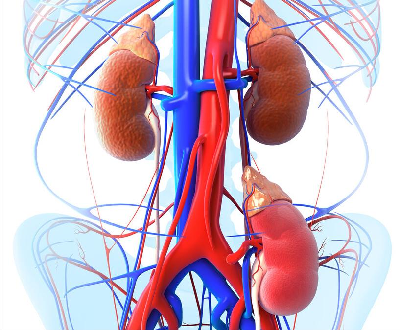 肾移植十大禁忌,肾移植引流管漏尿问题大吗