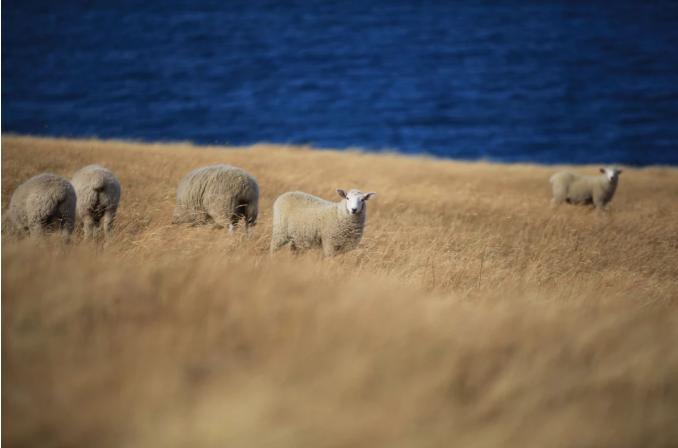 咪咕kindle0元享返现到哪里,kindle咪咕版0元购参加资格