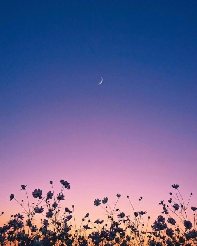 人生的格言句句精辟,最精辟的人生格言句句经典