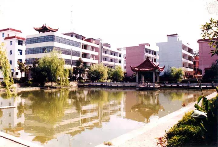 花园集团发展历程,花园集团高质量发展