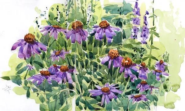 酣畅淋漓的水彩,酣畅淋漓水彩