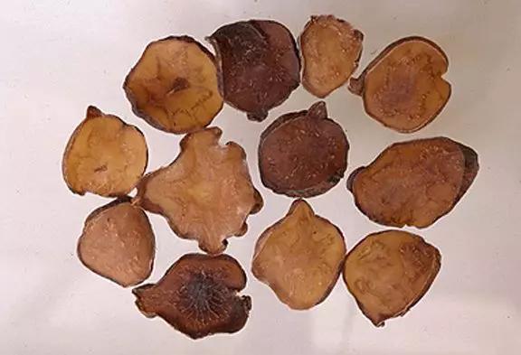 慎用药物更不要滥用药物,乌头类植物都有剧毒吗