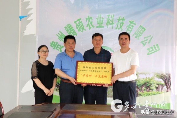 贵州省生物技术研究所,贵州生物技术研究所