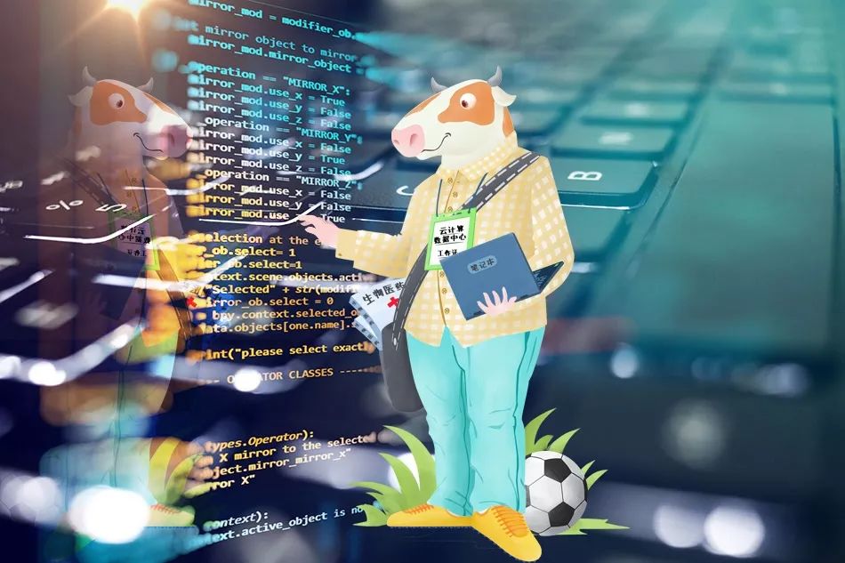 呼和浩特奶萌兽：足球摔跤样样行，体育课代表非他莫属丨Mr.Data