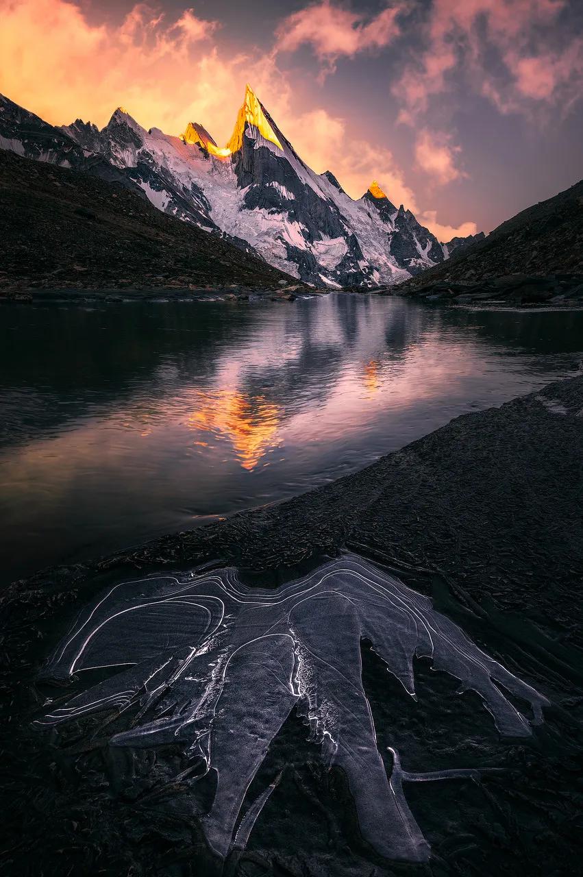 中国至今没被认全的20个邻居，个个身怀宝藏，你知道几个？