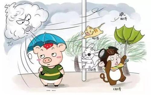 长篇小说北风那个吹免费听书,北风那个吹全文阅读