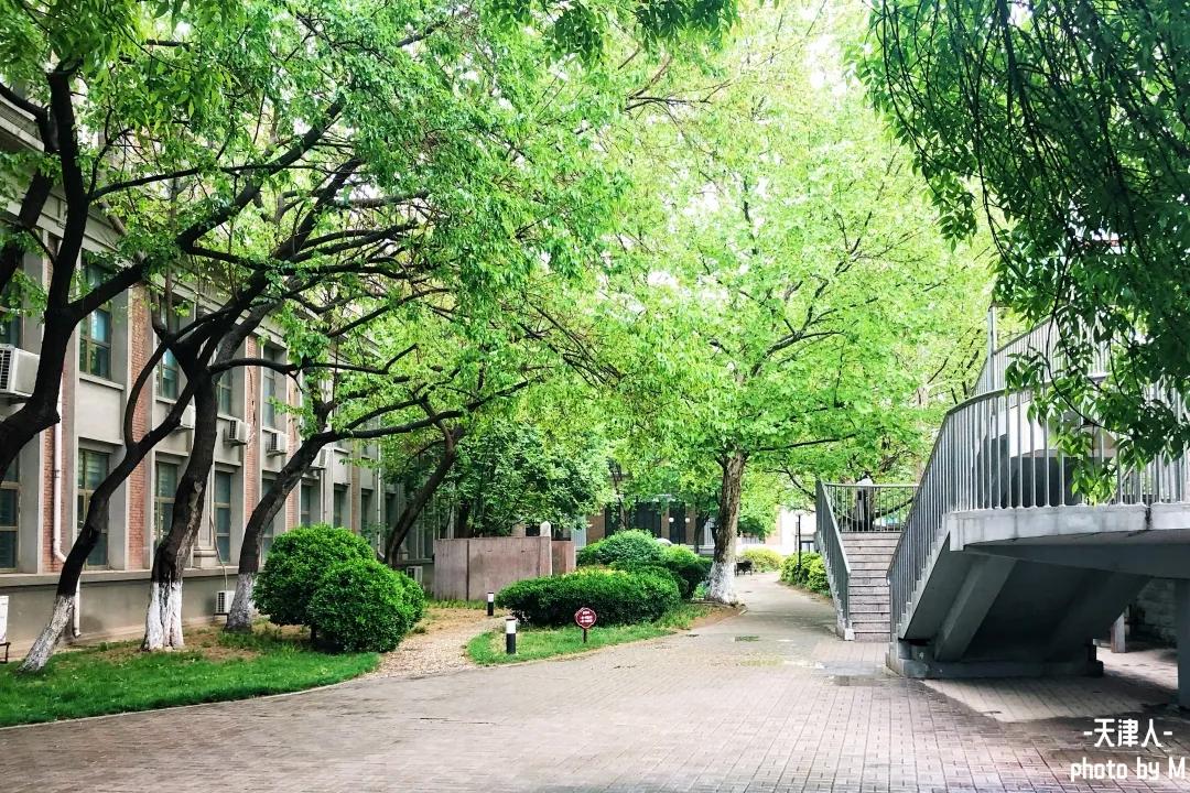 重庆南开中学在全国排名,南开中学很有名吗