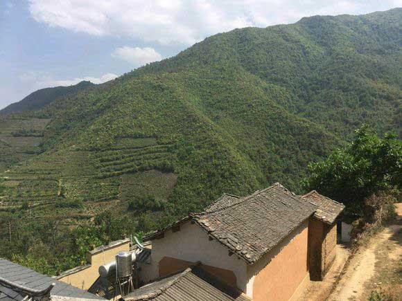 蜂蜜不能乱喝详解各种蜂蜜知识,蜂蜜有什么缺点和危害