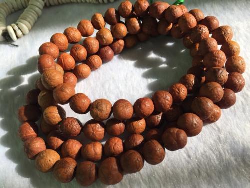 文玩菩提各种盘玩变化,什么菩提盘玩后价格高