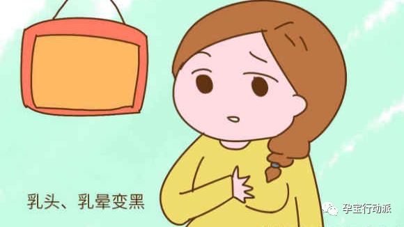 孕期周刊，第十三周