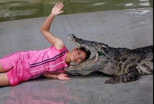 瀚阳水上世界鳄鱼表演,鳄鱼谷鳄鱼表演