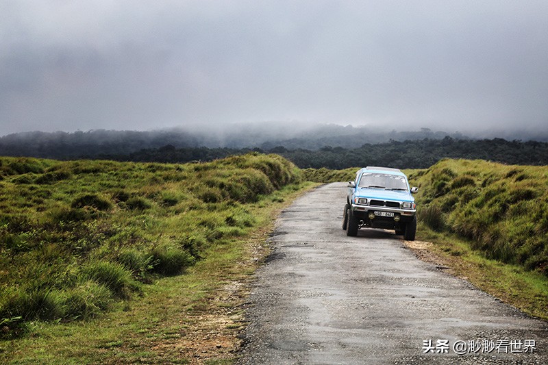 去斯里兰卡旅游攻略,1月去斯里兰卡旅游的最佳攻略