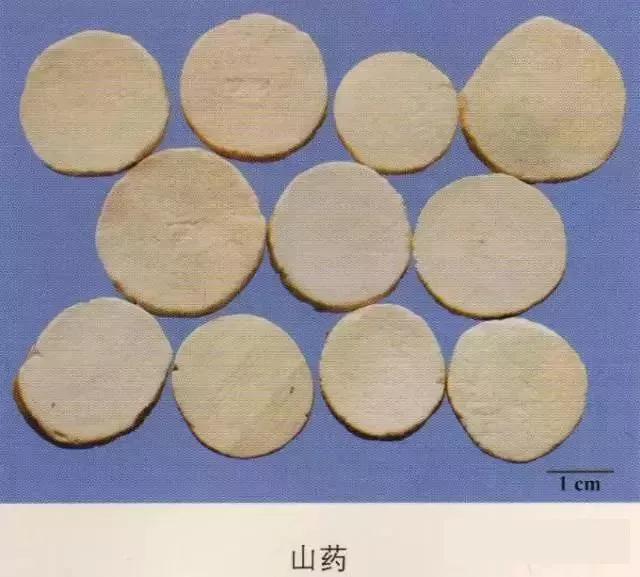 中药材图片大全大图带药名,200多味中药材图谱带图