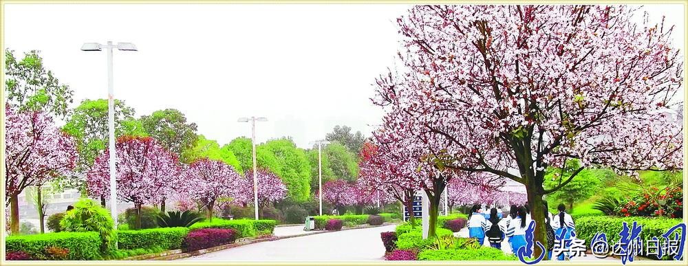 一所学校的破局与蝶变,一所百年名校