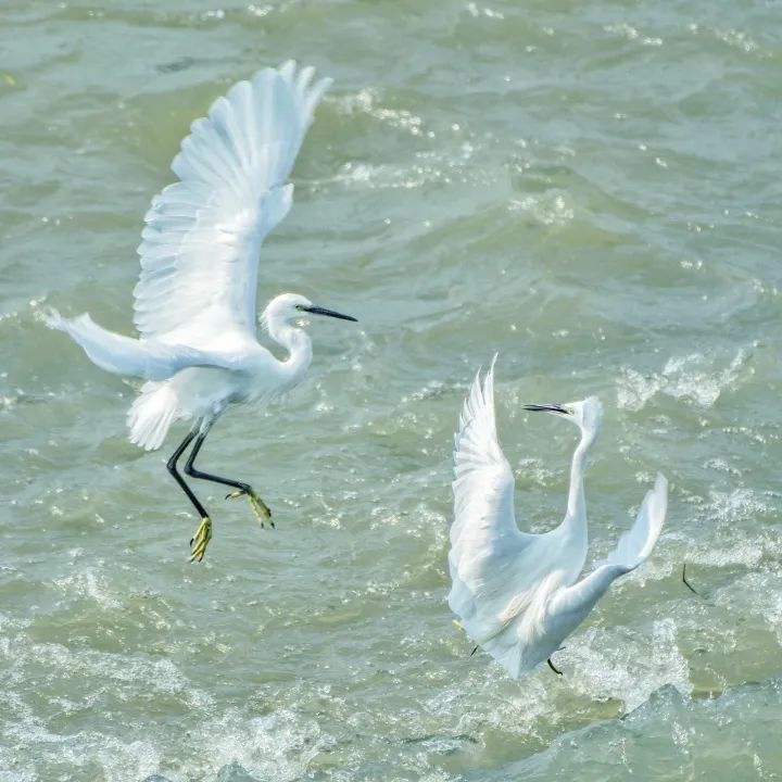 「生态」我在恩平很幸福