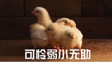 虚幻4引擎的游戏能升级到虚幻5吗,虚幻引擎4手游