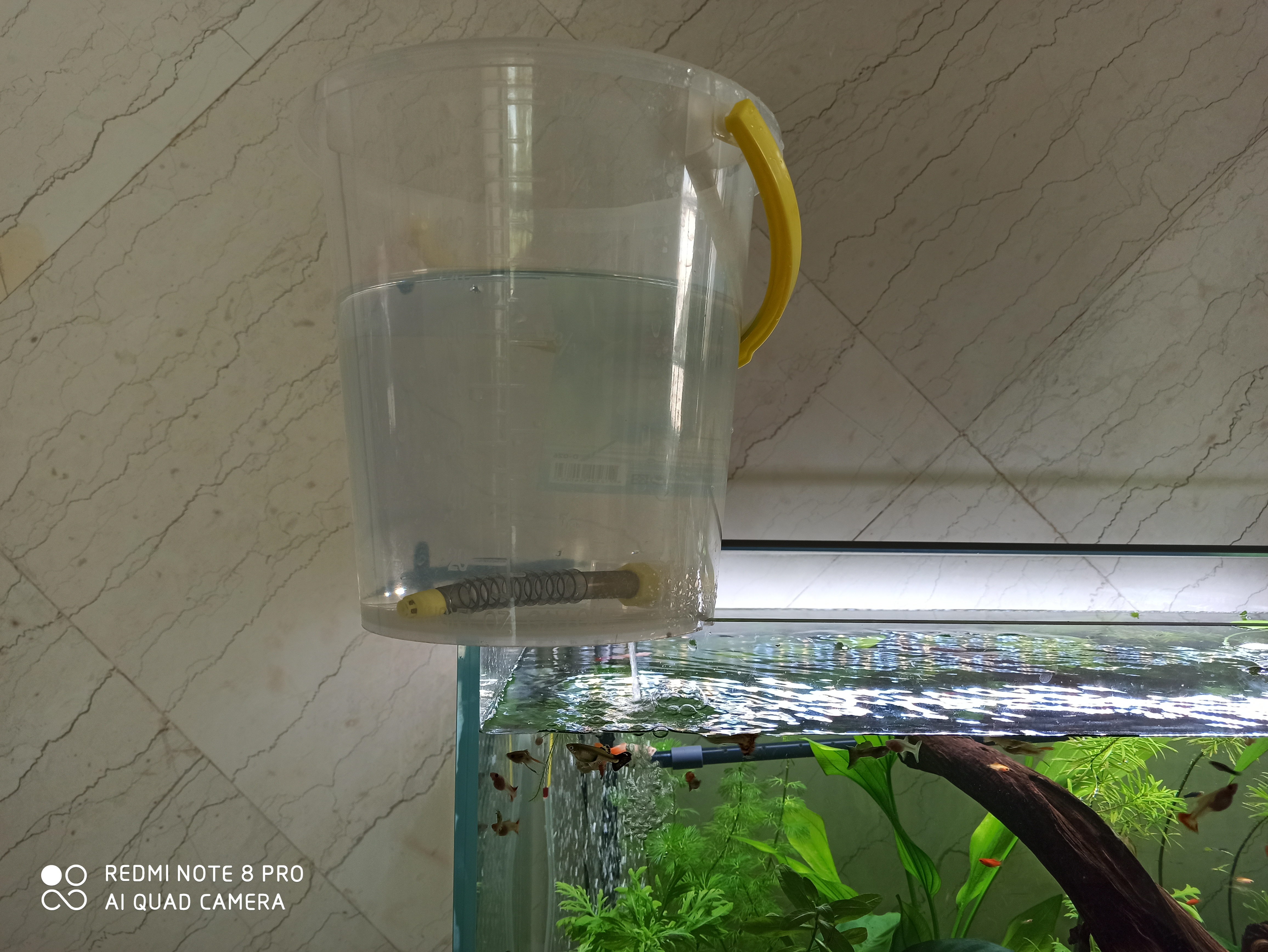 养鱼的技巧和方法新手入门,养鱼有哪些必须学会的技能和方法