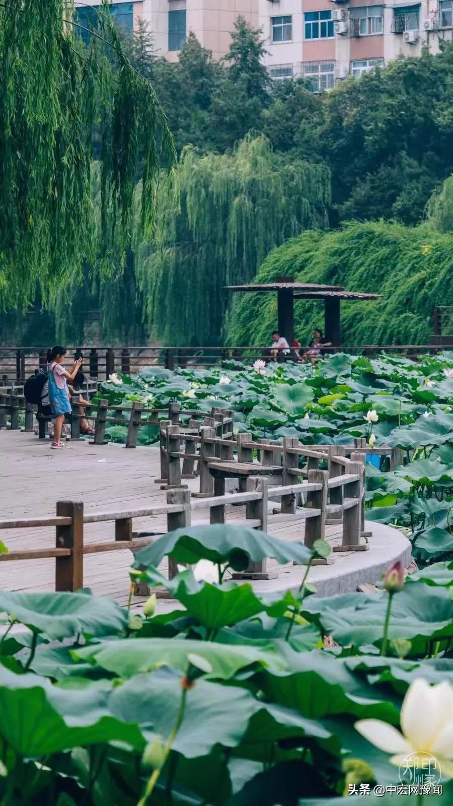 郑州公共健身器材公园,郑州公共场所免费景点