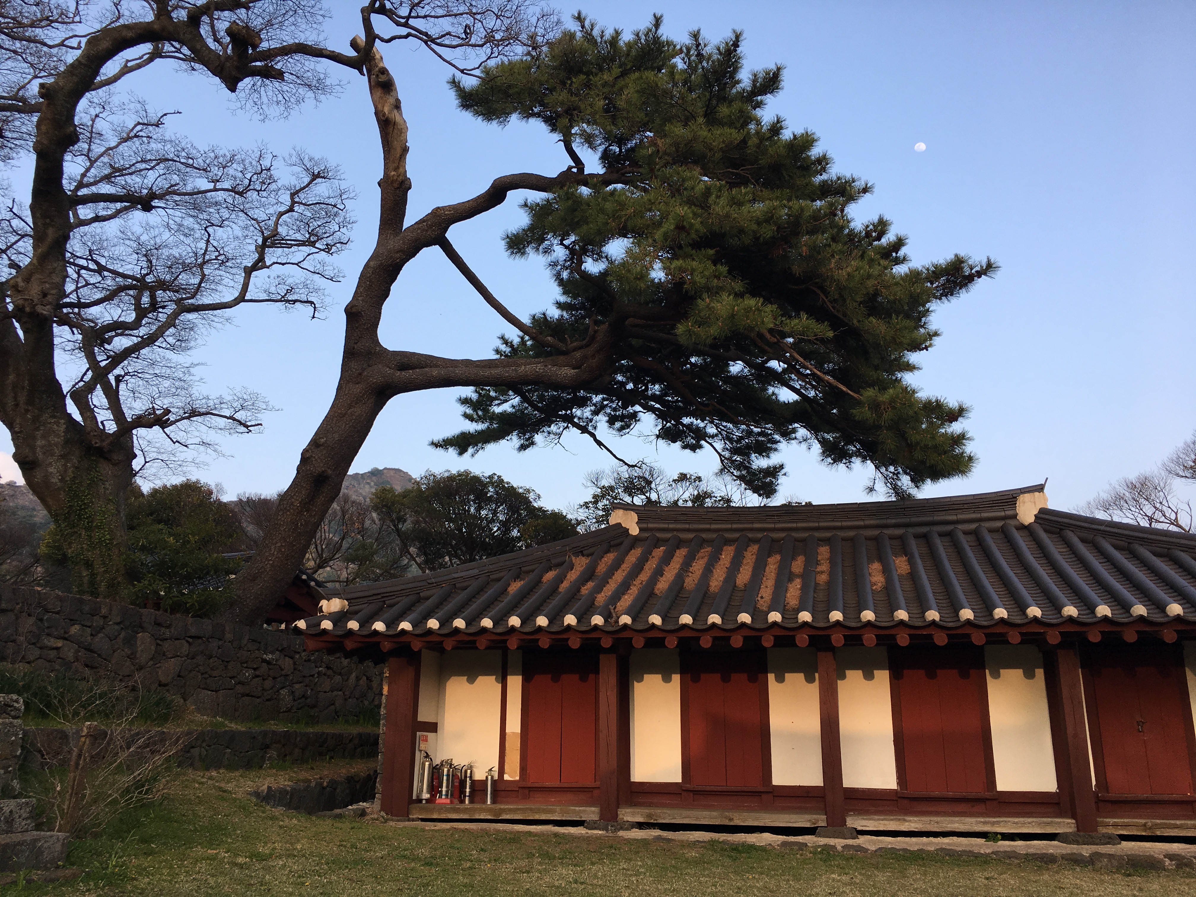 出国游玩新手小白,出国去韩国济州岛打工