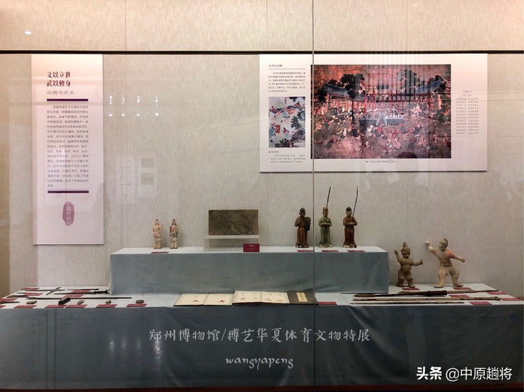 古代的体育运动你知道多少？郑州博物馆看华夏体育*物文**特展
