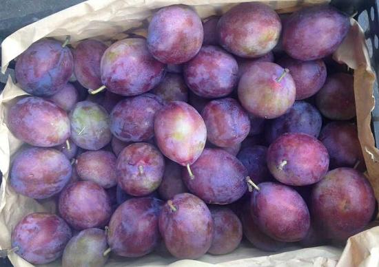 孩子长期便秘最怕三种食物,长期便秘易得肠癌医生告诉你真相