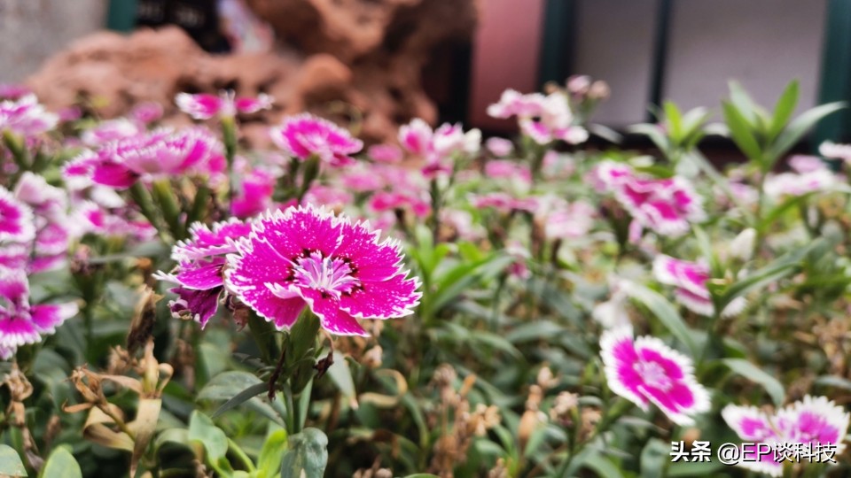 一亿像素和苹果1200万像素差别,苹果拍照像素最好的一款