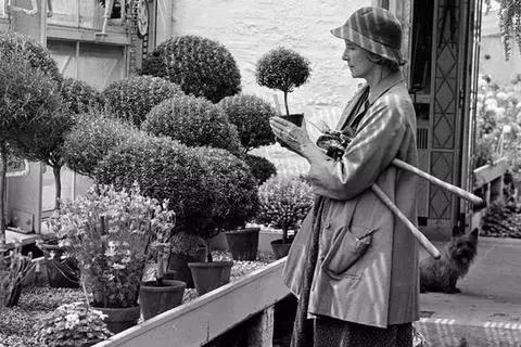 云鬓并不珠翠|BunnyMellon,一个世纪的美国风华