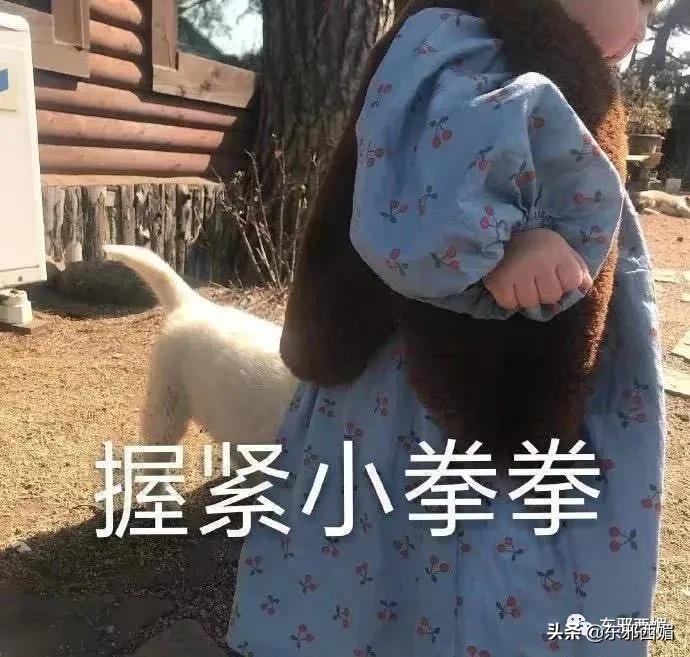 太离谱了，还我酷飒女精英啊