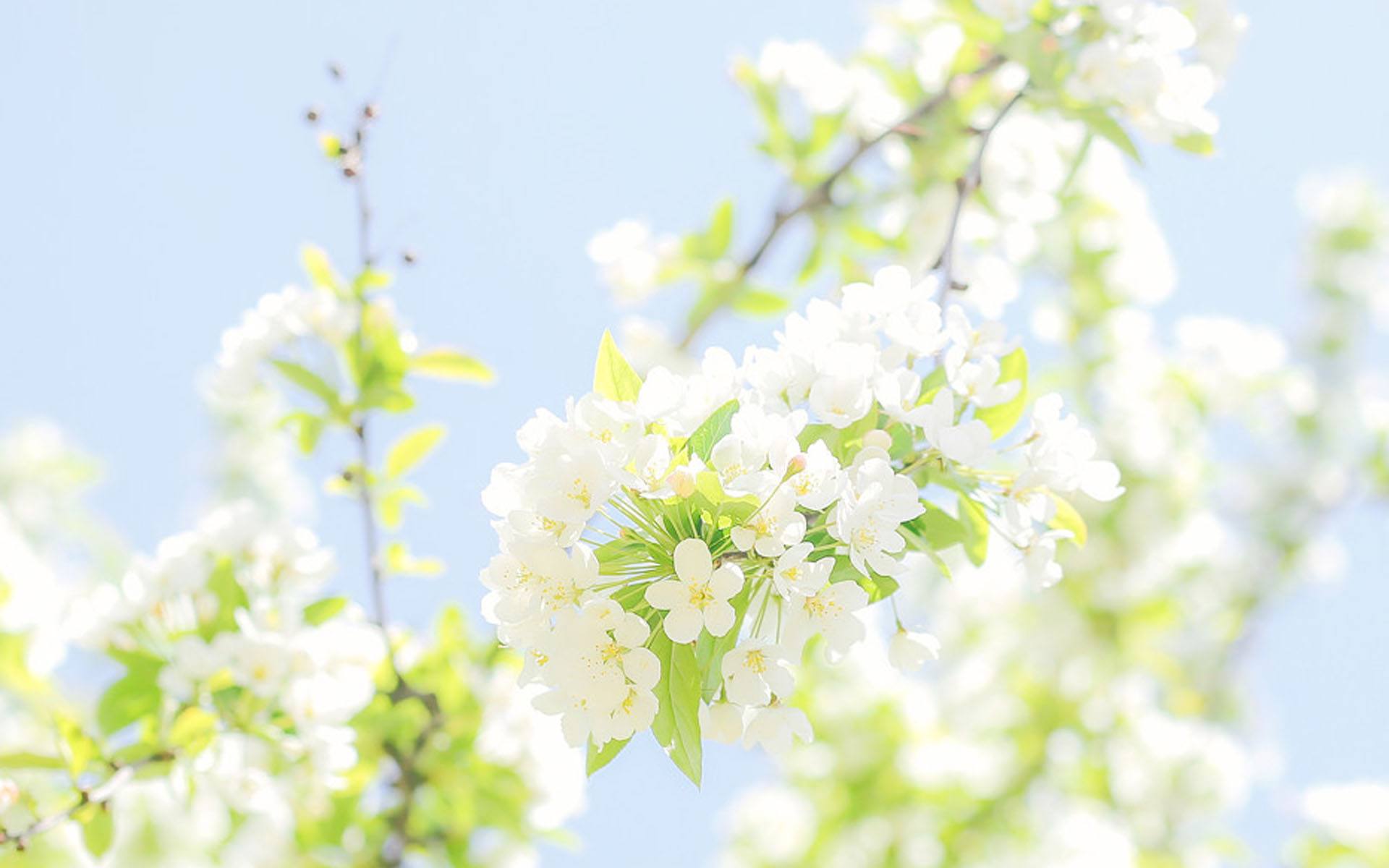 上环的女人好不好,上环死了