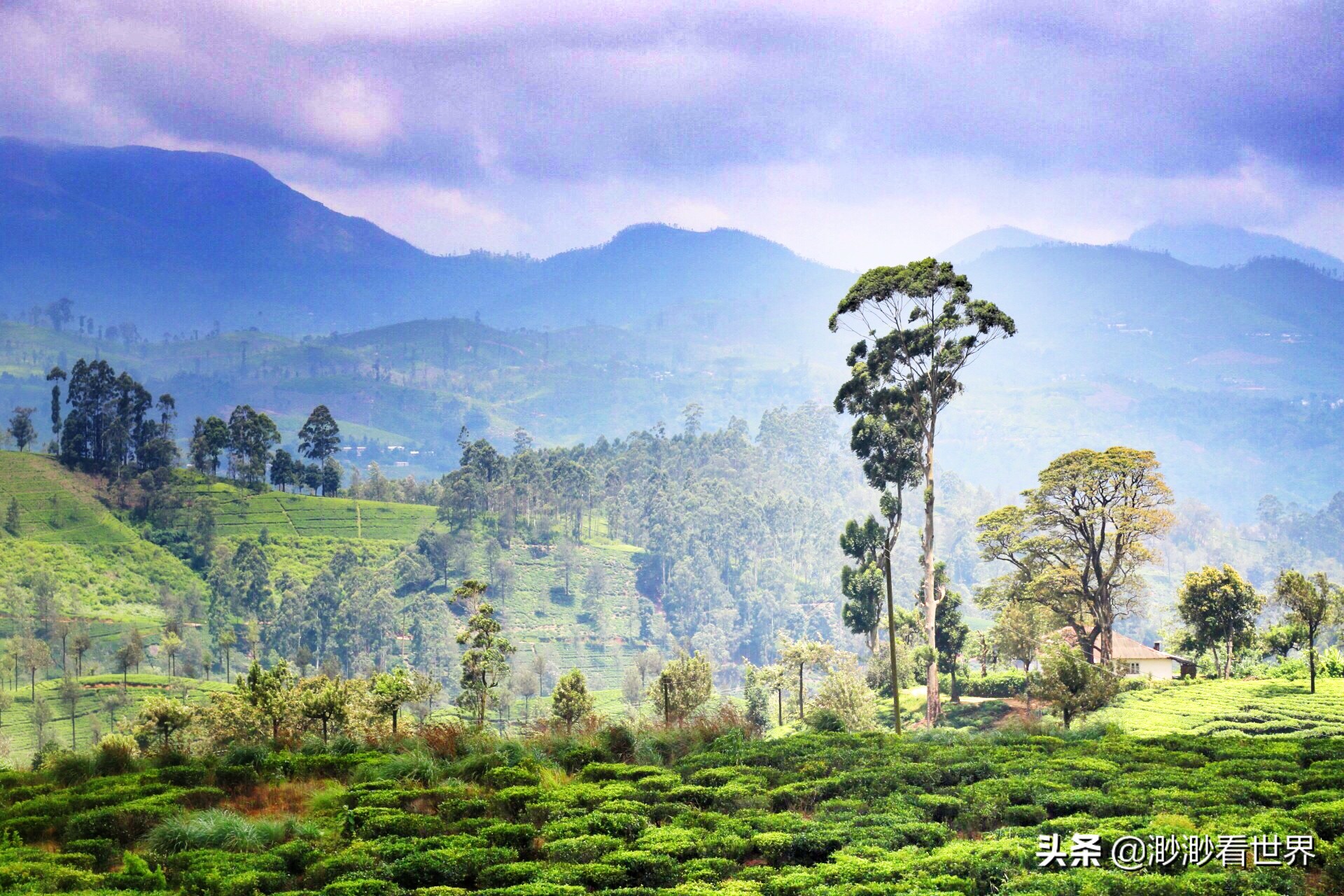 去斯里兰卡旅游攻略,1月去斯里兰卡旅游的最佳攻略