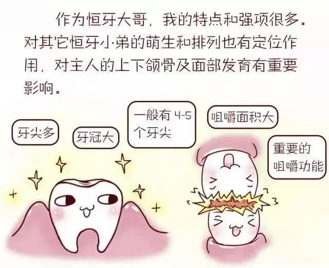 乳牙龋坏影响恒牙发育吗,乳牙蛀牙不疼会不会影响到牙神经