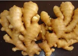 种姜怎么种产量更高,春耕进行时农村种姜