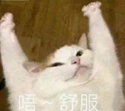 时尚的网络潮语,2019当下最潮的流行语