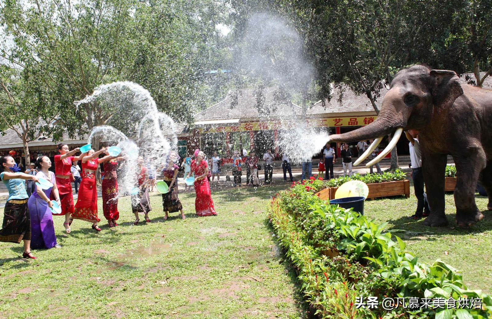 德宏州芒市蛋糕店,德宏陇川县蛋糕店