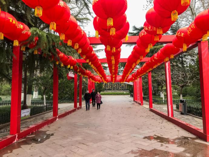 济南天下第一泉风景区开放首日,带你们“云逛”趵突泉、五龙潭……