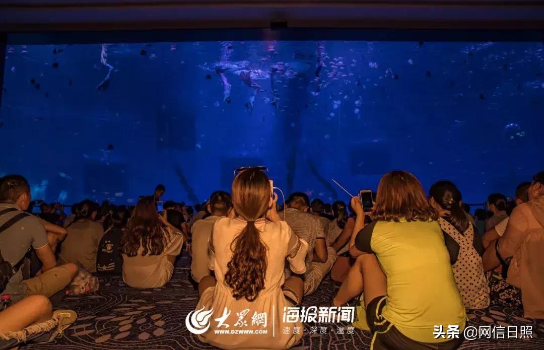 全是东北人的海边,日照海边下饺子